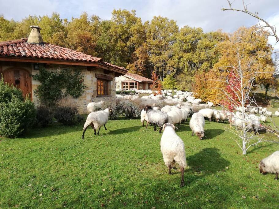 Willa Guikuri Octogono Casa Rural 1, 2 Y 3Pax Murua Zewnętrze zdjęcie